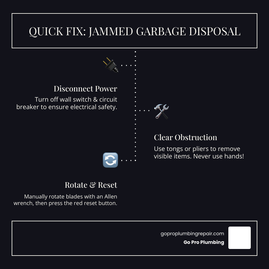 Infographic showing the basic anatomy of a garbage disposal including the sink flange at the top, the grinding chamber with impeller plates in the middle, the motor housing, the hex socket on the bottom for manual rotation, and the red reset button on the side of the motor housing - garbage disposal jammed infographic infographic-line-3-steps-dark