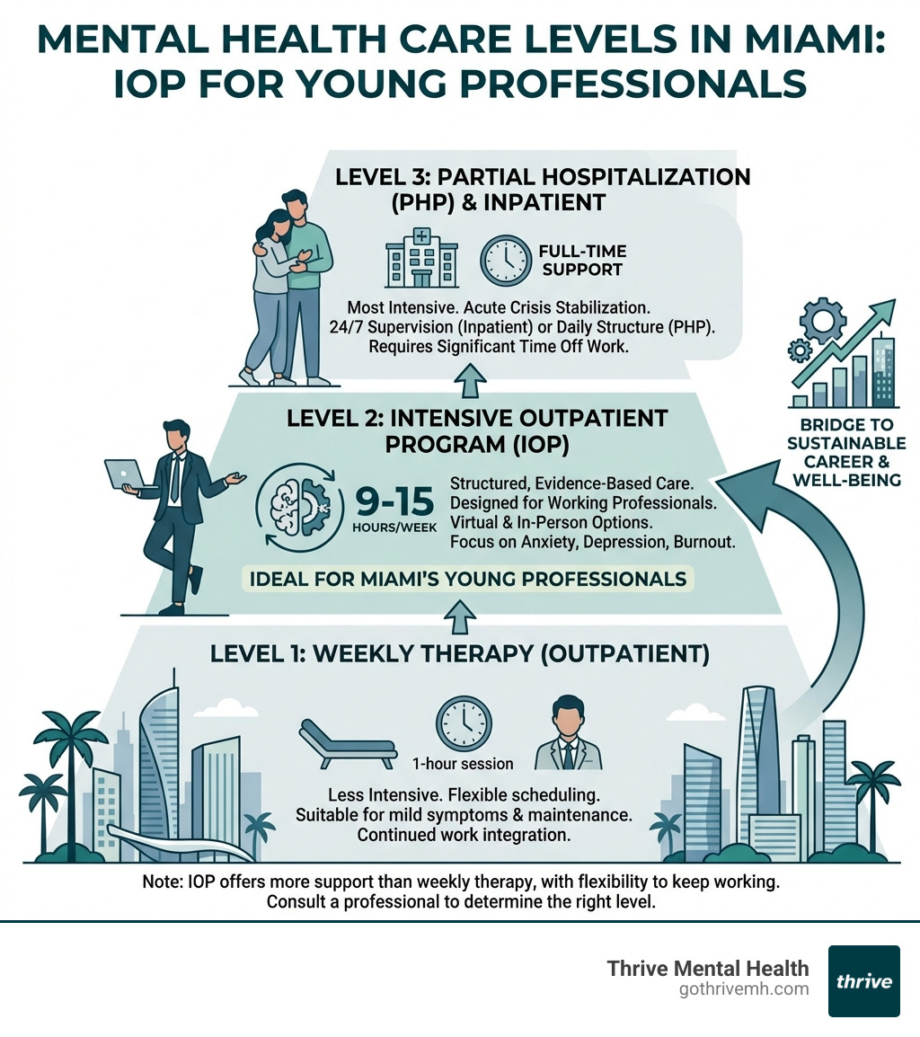 Mental health care levels in Miami: IOP for young professionals - List mental health centers in Miami offering IOP for young professionals. infographic 