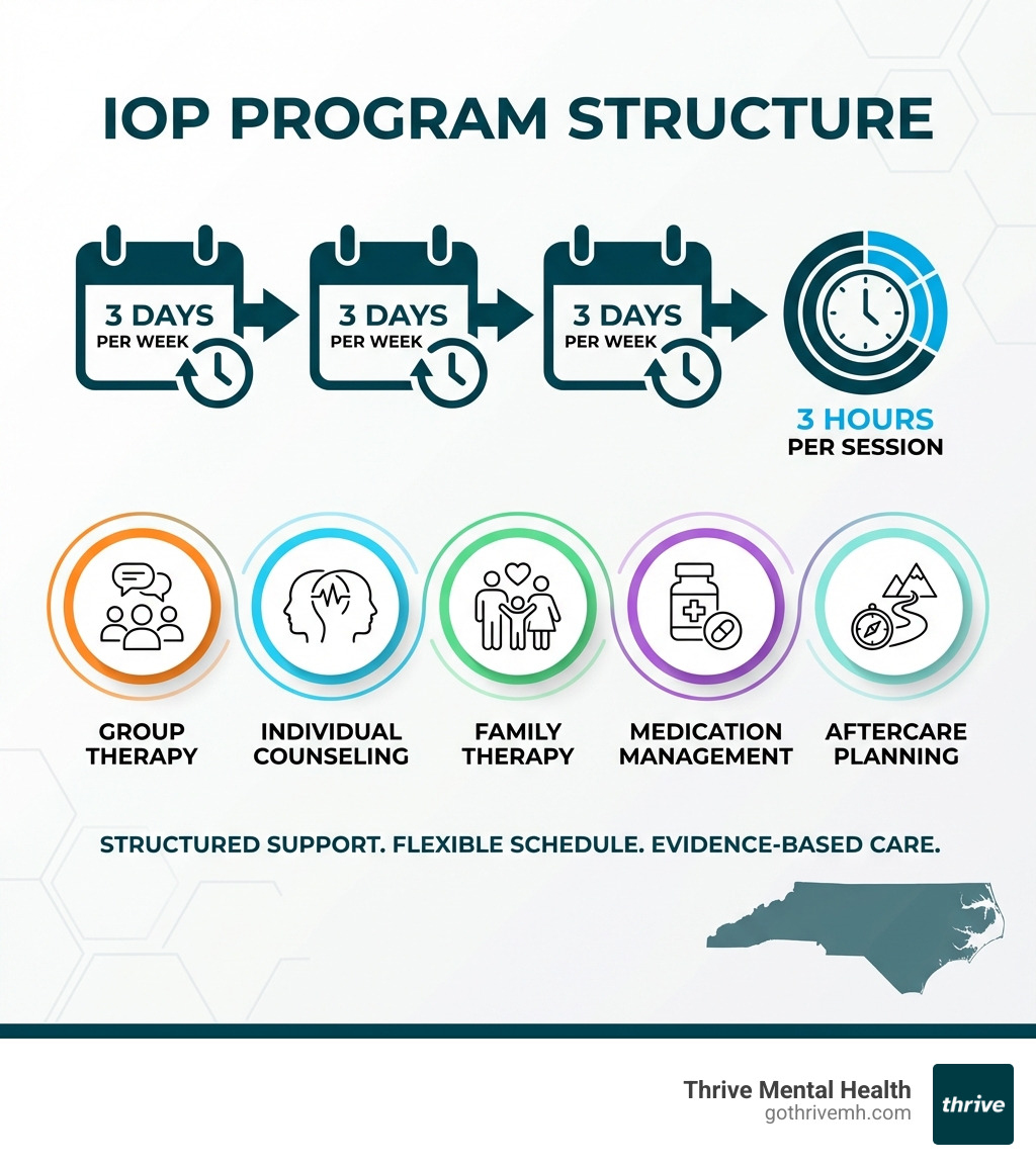 infographic showing iop program structure: 3 days per week, 3 hours per session, includes group therapy individual counseling family therapy medication management and aftercare planning - Best IOP in Florida infographic 