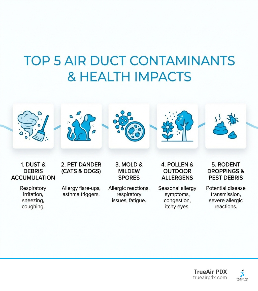 Infographic showing the top 5 contaminants found in air ducts: 1) Dust and debris accumulation, 2) Pet dander from cats and dogs, 3) Mold and mildew spores, 4) Pollen and outdoor allergens, 5) Rodent droppings and pest debris. Each contaminant shown with an icon and brief description of health impacts. - air duct cleaning Portland infographic Infographic showing the top 5 contaminants found in air ducts: 1) Dust and debris accumulation, 2) Pet dander from cats and dogs, 3) Mold and mildew spores, 4) Pollen and outdoor allergens, 5) Rodent droppings and pest debris. Each contaminant shown with an icon and brief description of health impacts. - air duct cleaning Portland infographic