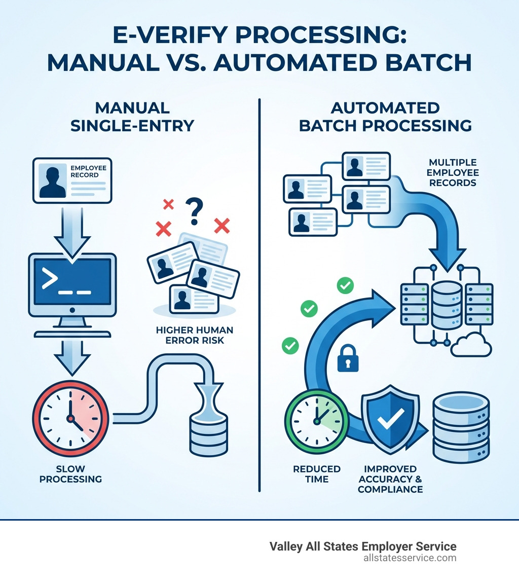 Infographic comparing manual single-entry E-Verify (showing individual employee cards being processed one at a time with a clock icon indicating slow processing) versus automated batch processing (showing multiple employee records being processed simultaneously with arrows pointing to a database, clock showing reduced time, and a shield icon representing improved accuracy and compliance) - e-verify batch processing infographic 