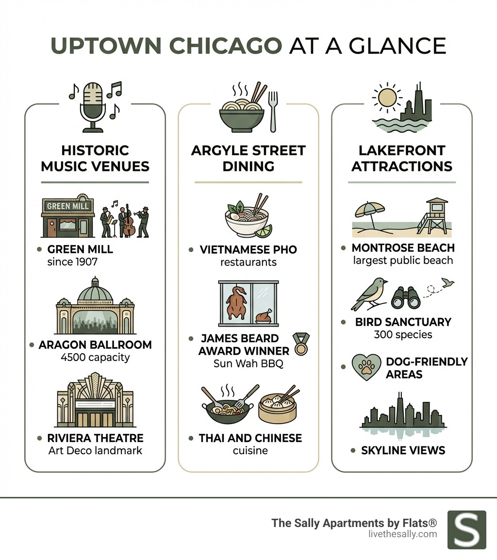Infographic showing Uptown Chicago at a glance with sections for Historic Music Venues (Green Mill since 1907, Aragon Ballroom 4500 capacity, Riviera Theatre Art Deco landmark), Argyle Street Dining (Vietnamese pho restaurants, James Beard Award winner Sun Wah BBQ, Thai and Chinese cuisine), and Lakefront Attractions (Montrose Beach largest public beach, Bird sanctuary with 300 species, Dog-friendly areas, Skyline views) - things to do in uptown chicago infographic Infographic showing Uptown Chicago at a glance with sections for Historic Music Venues (Green Mill since 1907, Aragon Ballroom 4500 capacity, Riviera Theatre Art Deco landmark), Argyle Street Dining (Vietnamese pho restaurants, James Beard Award winner Sun Wah BBQ, Thai and Chinese cuisine), and Lakefront Attractions (Montrose Beach largest public beach, Bird sanctuary with 300 species, Dog-friendly areas, Skyline views) - things to do in uptown chicago infographic