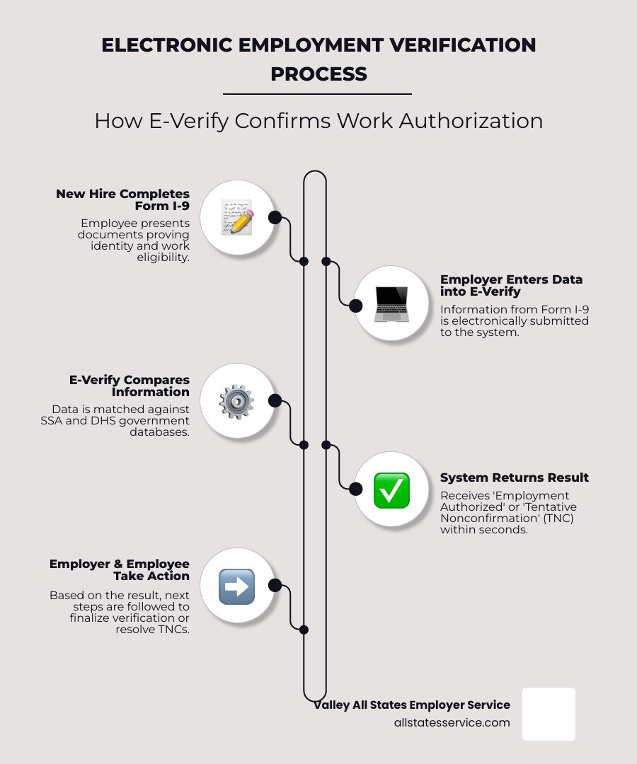 Infographic showing the electronic employment verification process: new hire completes Form I-9, employer enters data into E-Verify system, E-Verify compares information against Social Security Administration and Department of Homeland Security databases, system returns Employment Authorized or Tentative Nonconfirmation result within seconds, employer and employee take next steps based on result - Electronic employment verification infographic infographic-line-5-steps-elegant_beige