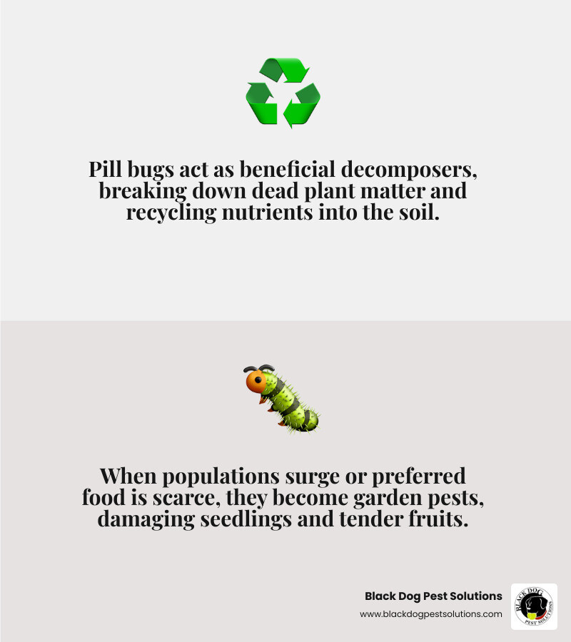 Infographic showing pill bugs as beneficial decomposers eating dead leaves on the left versus problematic pests damaging seedlings on the right, with environmental factors like excess moisture and lack of organic matter tipping the balance from friend to foe - Organic pill bug control infographic 2_facts_emoji_grey Infographic showing pill bugs as beneficial decomposers eating dead leaves on the left versus problematic pests damaging seedlings on the right, with environmental factors like excess moisture and lack of organic matter tipping the balance from friend to foe - Organic pill bug control infographic 2_facts_emoji_grey