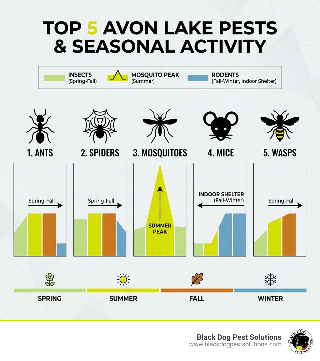 Infographic showing the top 5 most common pests in Avon Lake (ants, spiders, mice, mosquitoes, and wasps) with seasonal activity charts indicating spring through fall for insects, summer peak for mosquitoes, and fall through winter for rodents seeking indoor shelter - avon lake pest control infographic Infographic showing the top 5 most common pests in Avon Lake (ants, spiders, mice, mosquitoes, and wasps) with seasonal activity charts indicating spring through fall for insects, summer peak for mosquitoes, and fall through winter for rodents seeking indoor shelter - avon lake pest control infographic