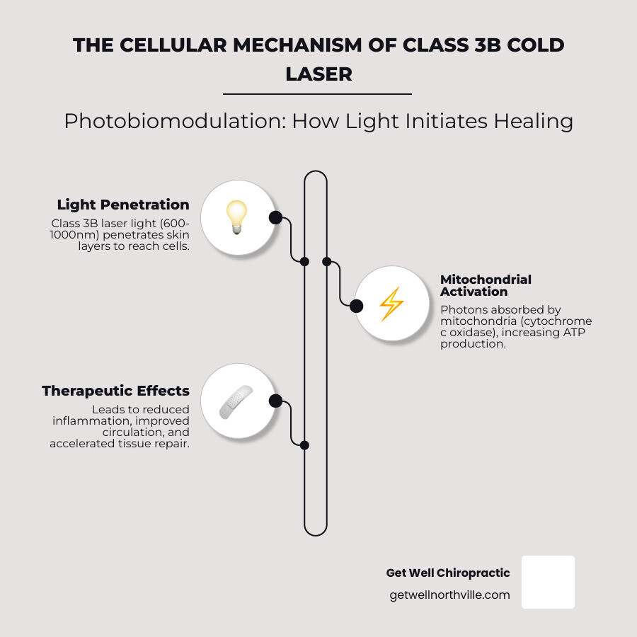 Infographic showing how Class 3B cold laser light at 600-1000nm wavelength penetrates skin layers to reach cells, where photons interact with mitochondria to increase ATP production, leading to reduced inflammation, improved circulation, and accelerated tissue repair - class 3b cold laser infographic infographic-line-3-steps-elegant_beige Infographic showing how Class 3B cold laser light at 600-1000nm wavelength penetrates skin layers to reach cells, where photons interact with mitochondria to increase ATP production, leading to reduced inflammation, improved circulation, and accelerated tissue repair - class 3b cold laser infographic infographic-line-3-steps-elegant_beige