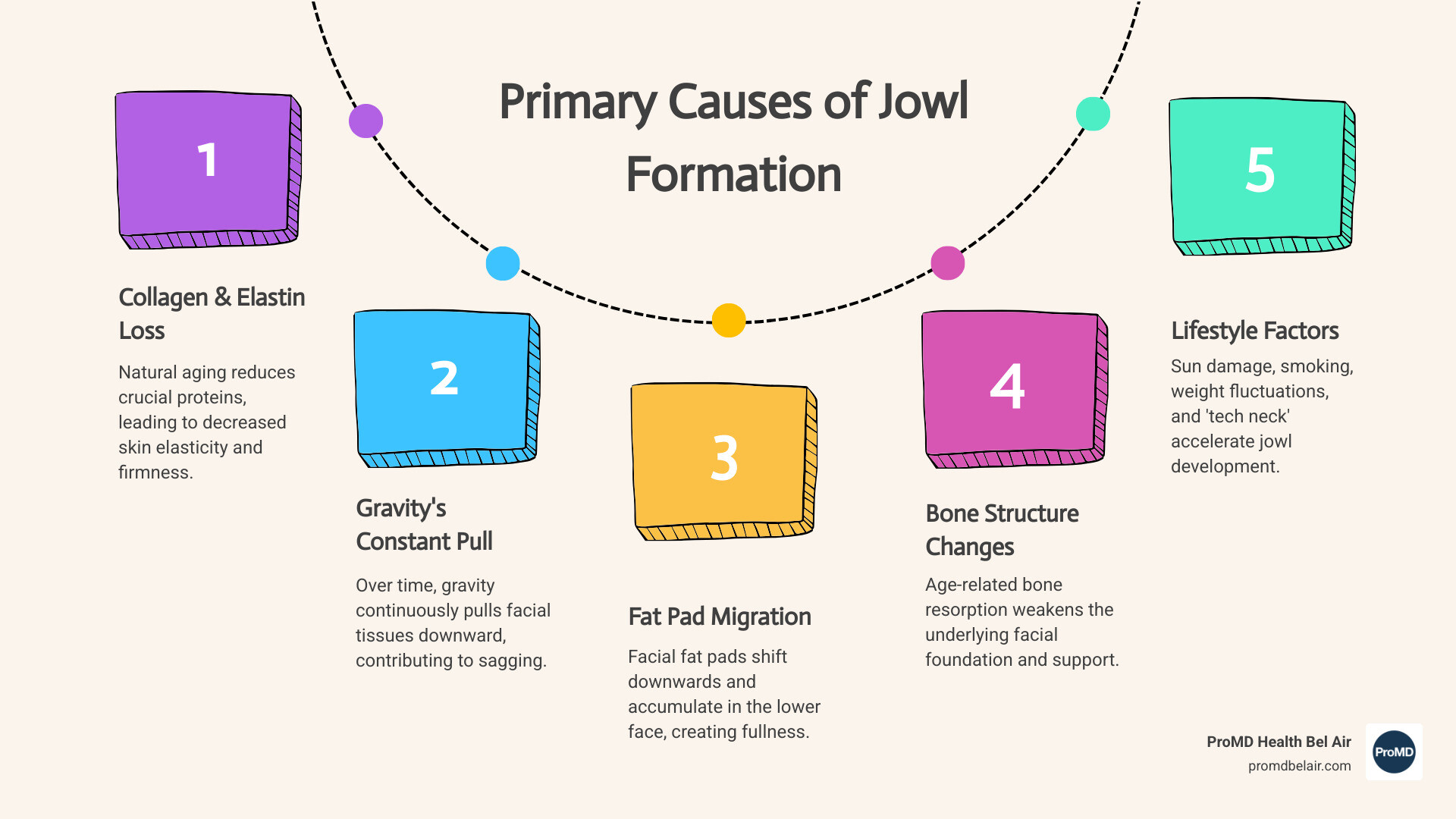 Infographic showing the primary causes of jowl formation: aging leads to collagen and elastin loss, gravity pulls facial tissues downward, fat pads migrate and accumulate in the lower face, bone resorption weakens facial structure, and lifestyle factors including sun damage, smoking, weight fluctuations, and tech neck accelerate the process - best non surgical facelift for jowls infographic process-5-steps-informal Infographic showing the primary causes of jowl formation: aging leads to collagen and elastin loss, gravity pulls facial tissues downward, fat pads migrate and accumulate in the lower face, bone resorption weakens facial structure, and lifestyle factors including sun damage, smoking, weight fluctuations, and tech neck accelerate the process - best non surgical facelift for jowls infographic process-5-steps-informal