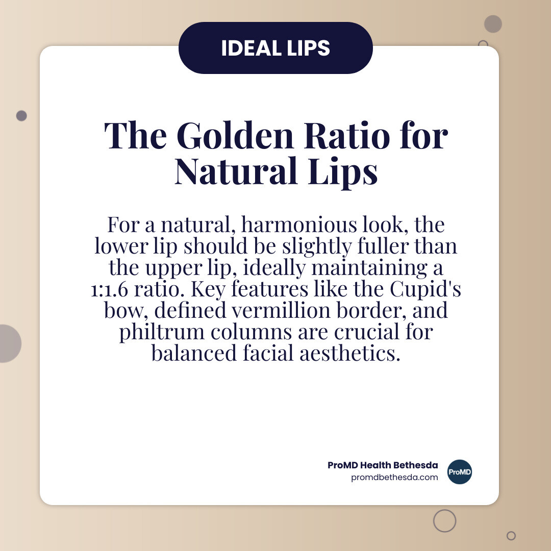 infographic showing the ideal lip proportions with the golden ratio, depicting a bottom lip that is slightly fuller than the top lip at approximately a 1:1.6 ratio, with labeled features including the Cupid's bow, vermillion border, and philtrum columns, illustrating balanced facial harmony - best lip filler for natural look infographic simple-info-card