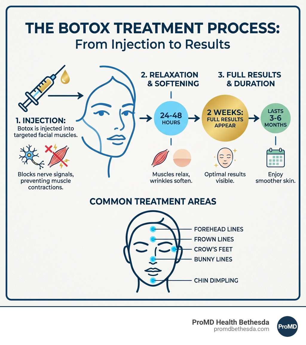 Infographic showing the Botox treatment process: Botox is injected into targeted facial muscles, blocking nerve signals that cause muscle contractions. Within 24-48 hours, muscles relax and wrinkles soften. Full results appear in 2 weeks and last 3-6 months. Common treatment areas include forehead lines, frown lines between eyebrows, crow's feet, bunny lines on the nose, and chin dimpling. - botox in bethesda infographic Infographic showing the Botox treatment process: Botox is injected into targeted facial muscles, blocking nerve signals that cause muscle contractions. Within 24-48 hours, muscles relax and wrinkles soften. Full results appear in 2 weeks and last 3-6 months. Common treatment areas include forehead lines, frown lines between eyebrows, crow's feet, bunny lines on the nose, and chin dimpling. - botox in bethesda infographic