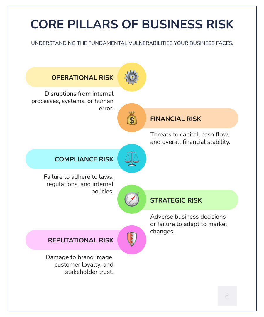 infographic explaining core pillars of business risk - business services infographic infographic-line-5-steps-colors