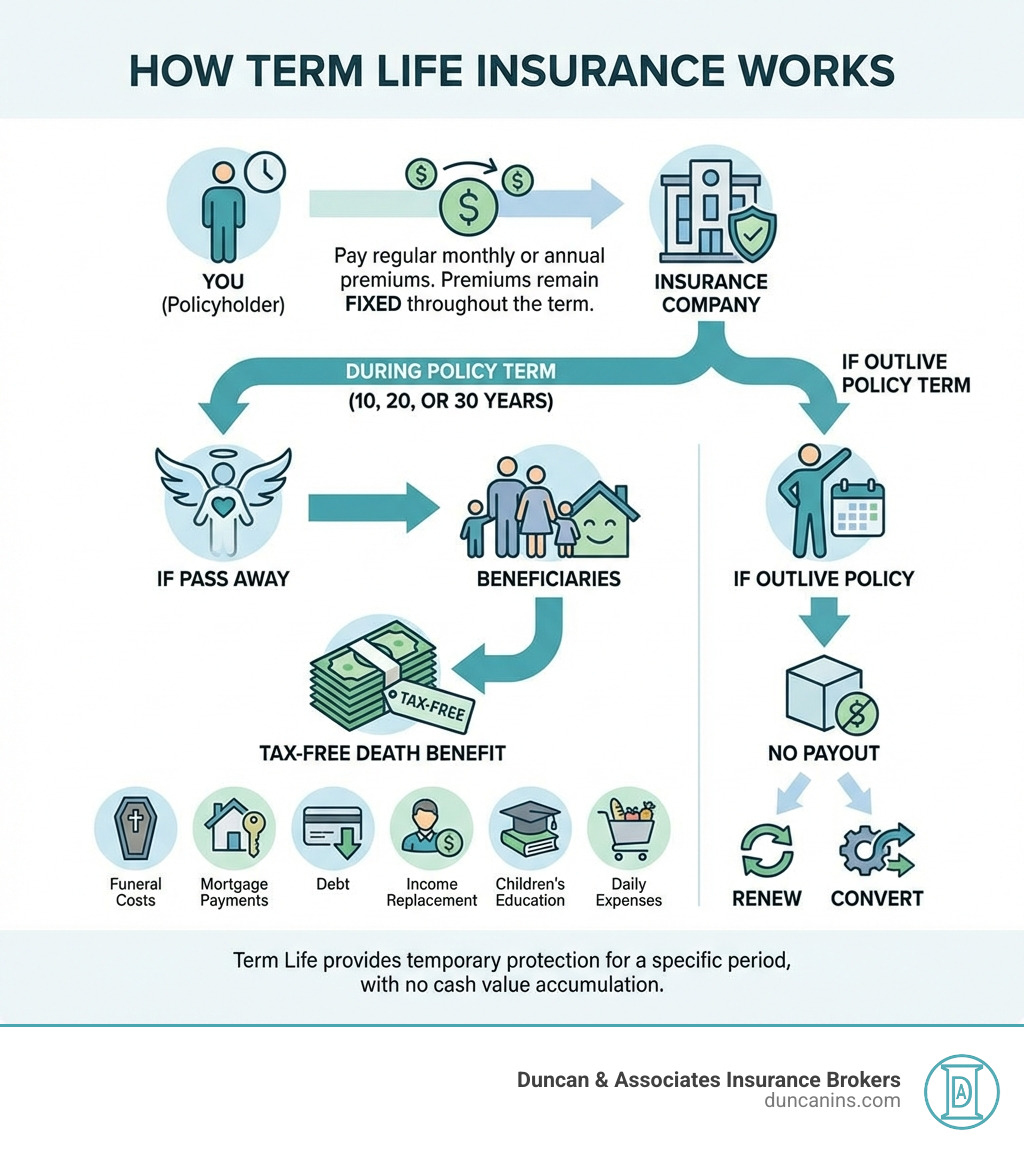 Infographic showing how term life insurance works: You pay regular monthly or annual premiums to an insurance company. In exchange, if you pass away during the policy term (10, 20, or 30 years), the insurer pays a tax-free death benefit to your named beneficiaries. The death benefit can cover funeral costs, mortgage payments, debt, income replacement, children's education, and daily expenses. Premiums remain fixed throughout the term, and no payout occurs if you outlive the policy unless you renew or convert it. - Term life insurance quotes infographic 