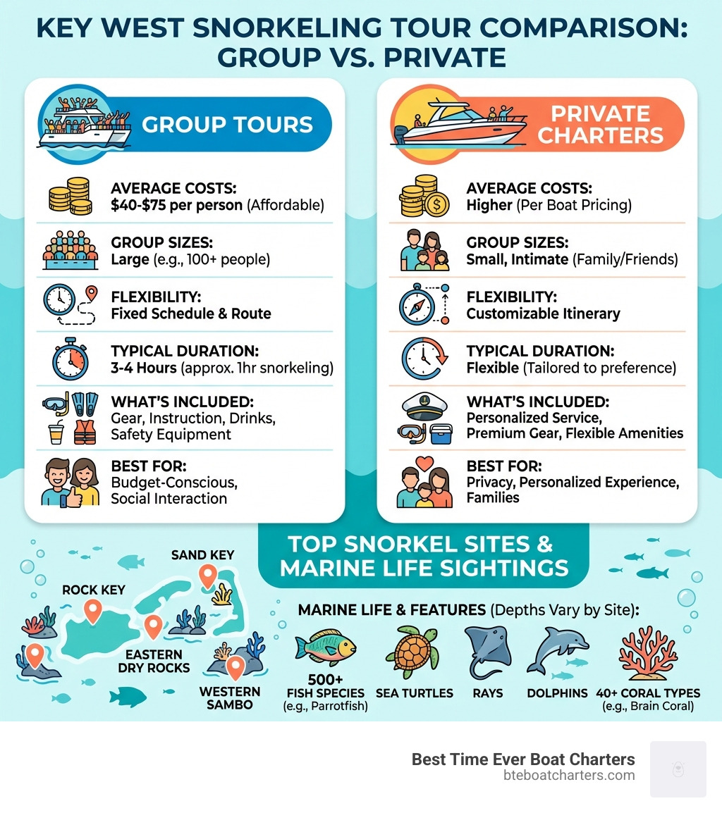 infographic showing key west snorkeling tour comparison - group tours vs private charters, including average costs, group sizes, flexibility, typical duration, what's included, best for whom, and top snorkel sites with depth ranges and common marine life sightings - key west snorkeling tours infographic 