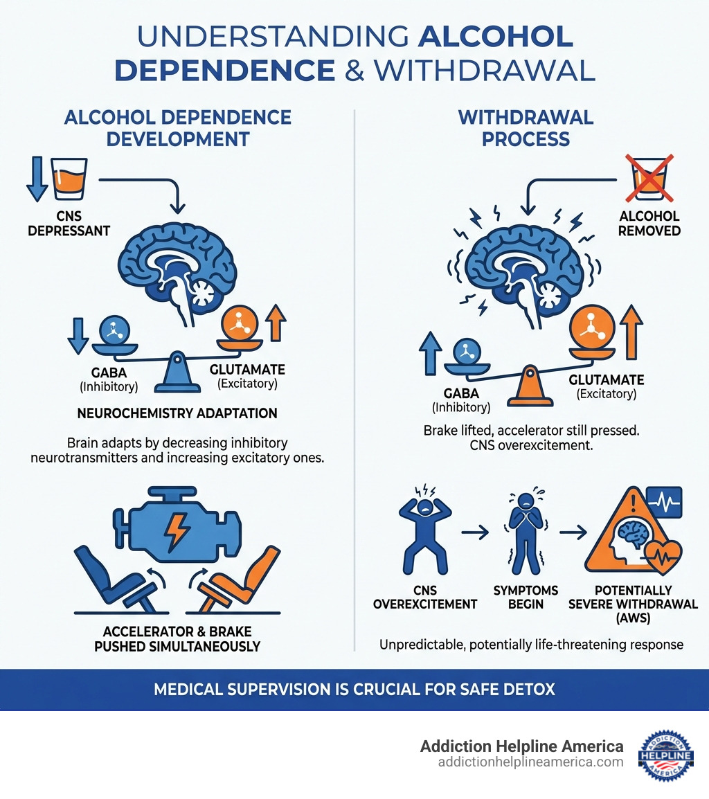Infographic explaining how alcohol dependence develops in the brain and the process of withdrawal. - alcohol detox infographic Infographic explaining how alcohol dependence develops in the brain and the process of withdrawal. - alcohol detox infographic