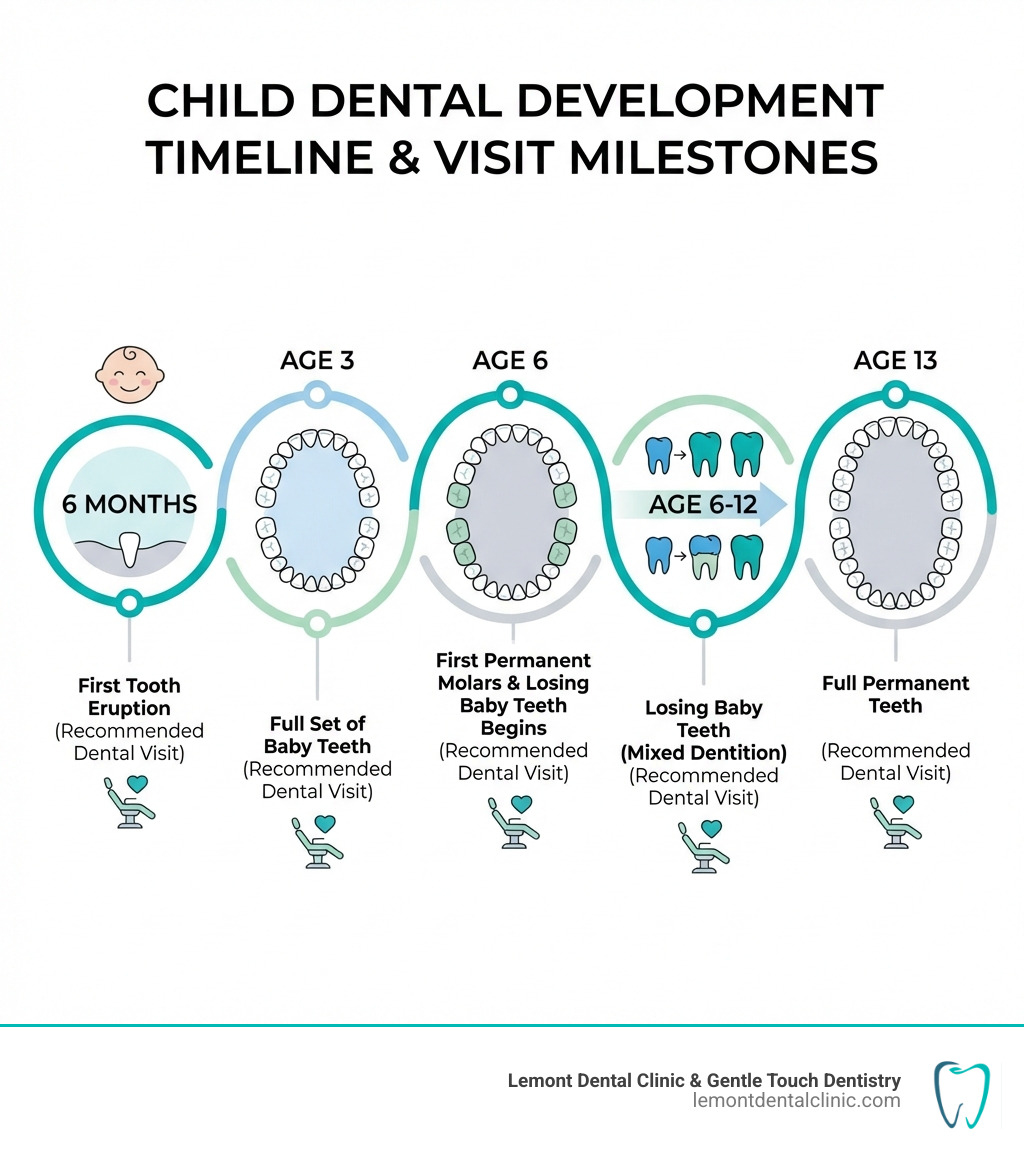 infographic showing the timeline of child dental development from first tooth eruption at 6 months through baby teeth at age 3, first permanent molars at age 6, losing baby teeth from age 6-12, and full permanent teeth by age 13, with recommended dental visit milestones marked at each stage - pediatric dentist lemont infographic infographic showing the timeline of child dental development from first tooth eruption at 6 months through baby teeth at age 3, first permanent molars at age 6, losing baby teeth from age 6-12, and full permanent teeth by age 13, with recommended dental visit milestones marked at each stage - pediatric dentist lemont infographic