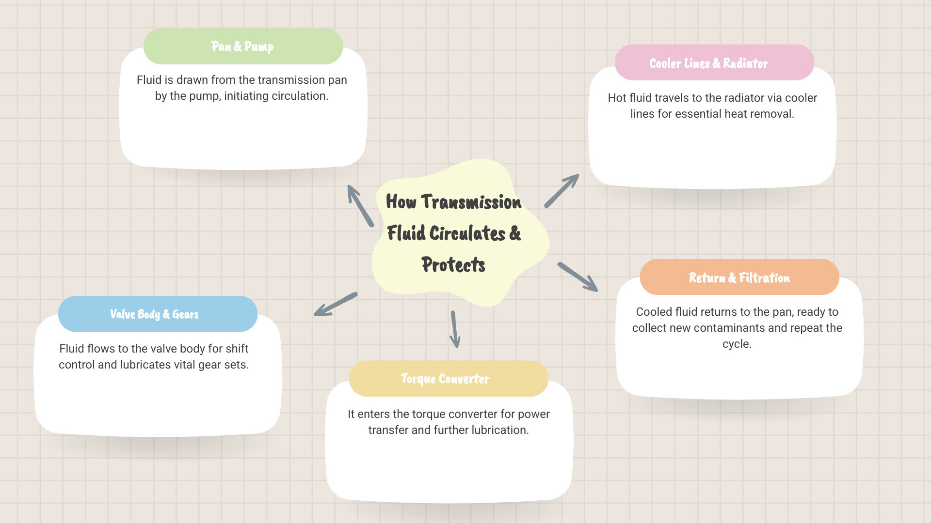 Infographic showing how transmission fluid circulates through the transmission system: from the pan through the pump, into the valve body and gear sets, through the torque converter, out to the cooler lines and radiator cooler, then back to the pan; arrows indicate fluid flow; labels show lubrication of gears, heat removal at cooler, and contaminant collection in pan and filter - transmission fluid flush cost infographic mindmap-5-items
