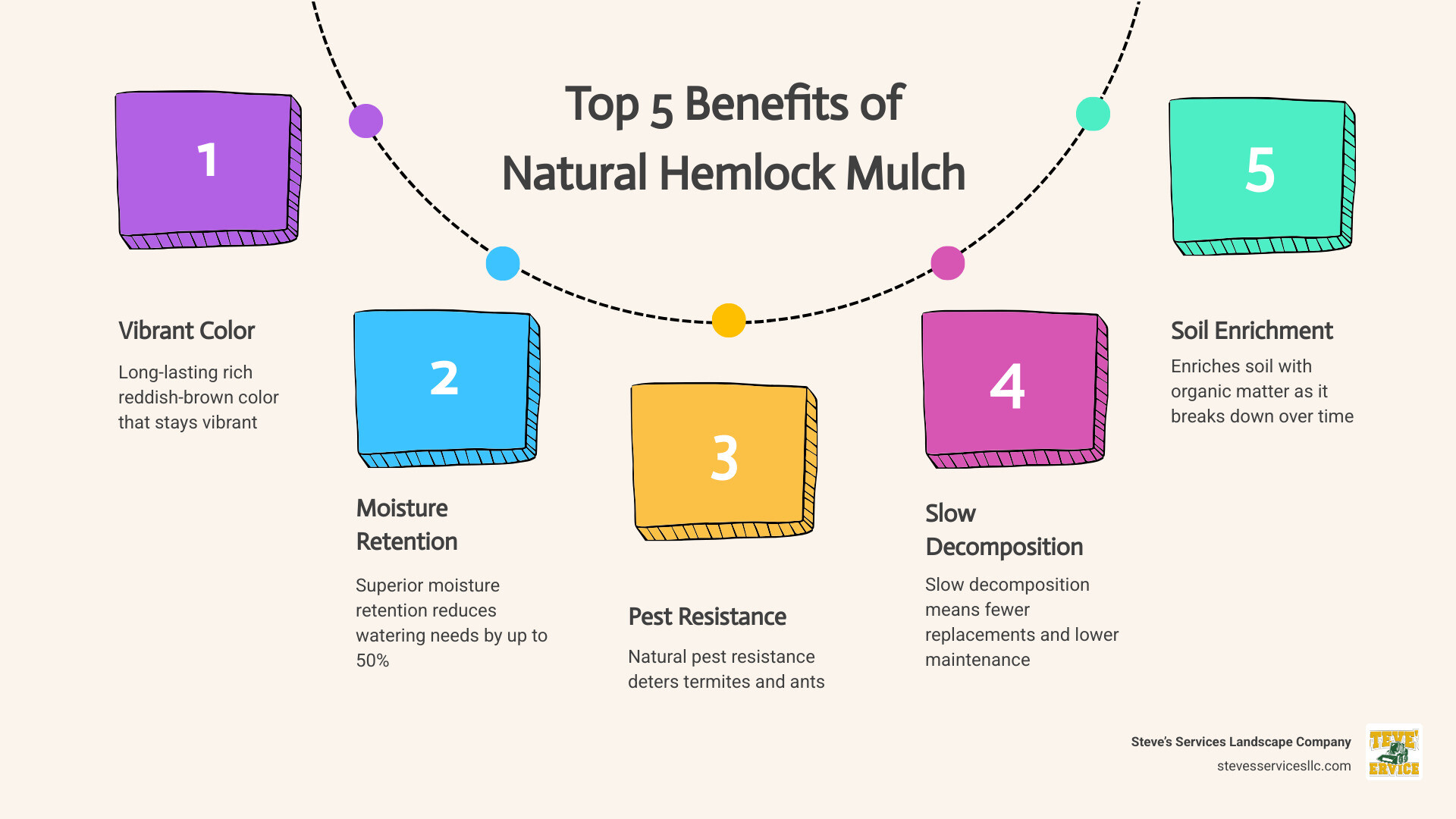Infographic showing the top 5 benefits of natural hemlock mulch: 1. Long-lasting rich reddish-brown color that stays vibrant, 2. Superior moisture retention reduces watering needs by up to 50%, 3. Natural pest resistance deters termites and ants, 4. Slow decomposition means fewer replacements and lower maintenance, 5. Enriches soil with organic matter as it breaks down over time - natural hemlock mulch infographic process-5-steps-informal