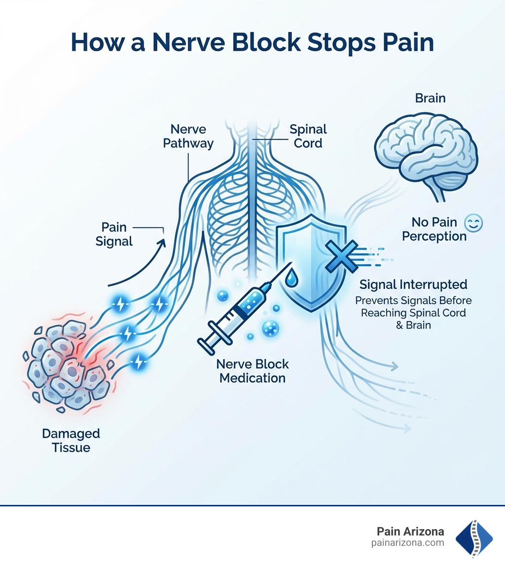 Infographic showing how a nerve block interrupts the pain signal pathway: damaged tissue triggers nociceptors, which send electrical signals through nerve pathways toward the brain, but the nerve block medication stops these signals before they reach the spinal cord and brain, preventing pain perception - Nerve block injection infographic 