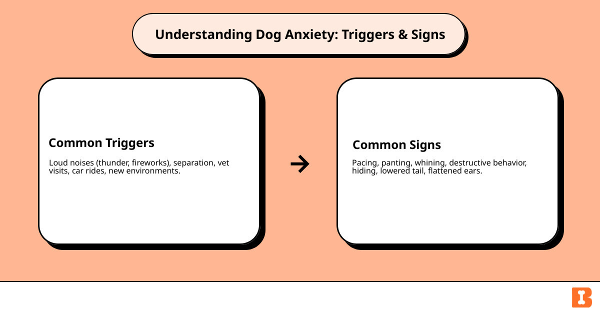 Infographic showing common signs of dog anxiety including pacing, panting, whining, hiding, excessive barking, lowered tail, flattened ears, and decreased appetite, alongside common triggers such as separation, thunderstorms, fireworks, vet visits, car rides, and new environments - calming toys for dogs infographic cause_effect_text Infographic showing common signs of dog anxiety including pacing, panting, whining, hiding, excessive barking, lowered tail, flattened ears, and decreased appetite, alongside common triggers such as separation, thunderstorms, fireworks, vet visits, car rides, and new environments - calming toys for dogs infographic cause_effect_text