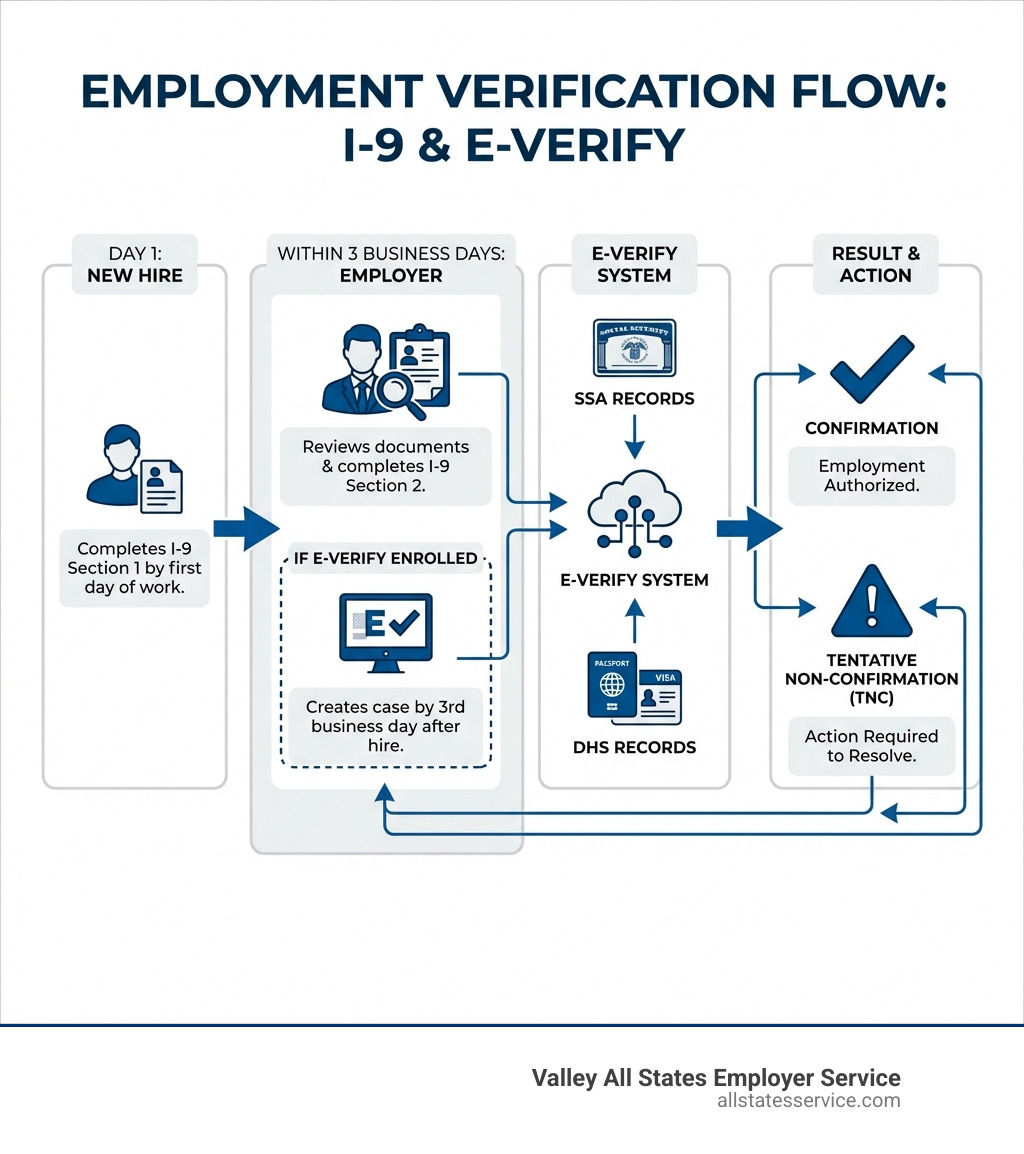 infographic showing the employment verification flow: new hire completes I-9 Section 1 by first day of work, employer reviews documents and completes Section 2 within 3 business days, if enrolled in E-Verify employer creates case by 3rd business day after hire, E-Verify compares data to SSA and DHS records, employer receives confirmation or tentative non-confirmation - i9 and everify infographic 