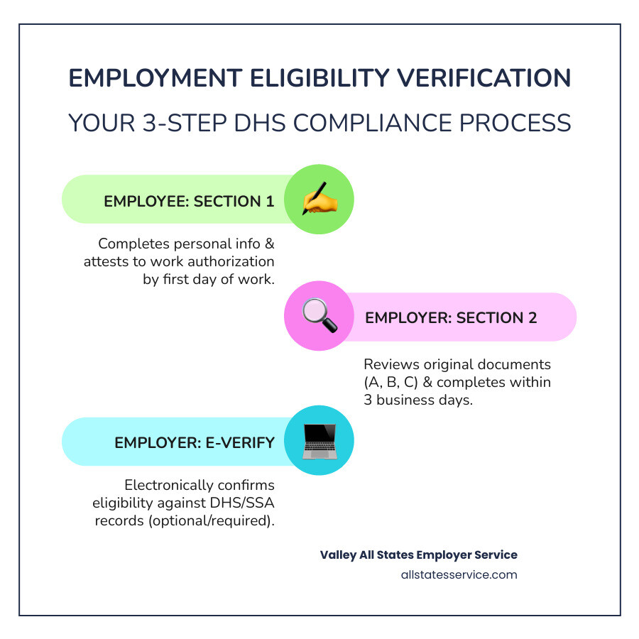 Infographic showing the 3-step employment verification process: Step 1 - Employee completes Section 1 of Form I-9 no later than first day of work, providing personal information and attesting to work authorization. Step 2 - Employer reviews original documents from acceptable lists and completes Section 2 within 3 business days, recording document information. Step 3 - Employer uses E-Verify if required or voluntary, entering Form I-9 data to electronically confirm eligibility against DHS and SSA records. - employment eligibility verification department of homeland security infographic infographic-line-3-steps-colors