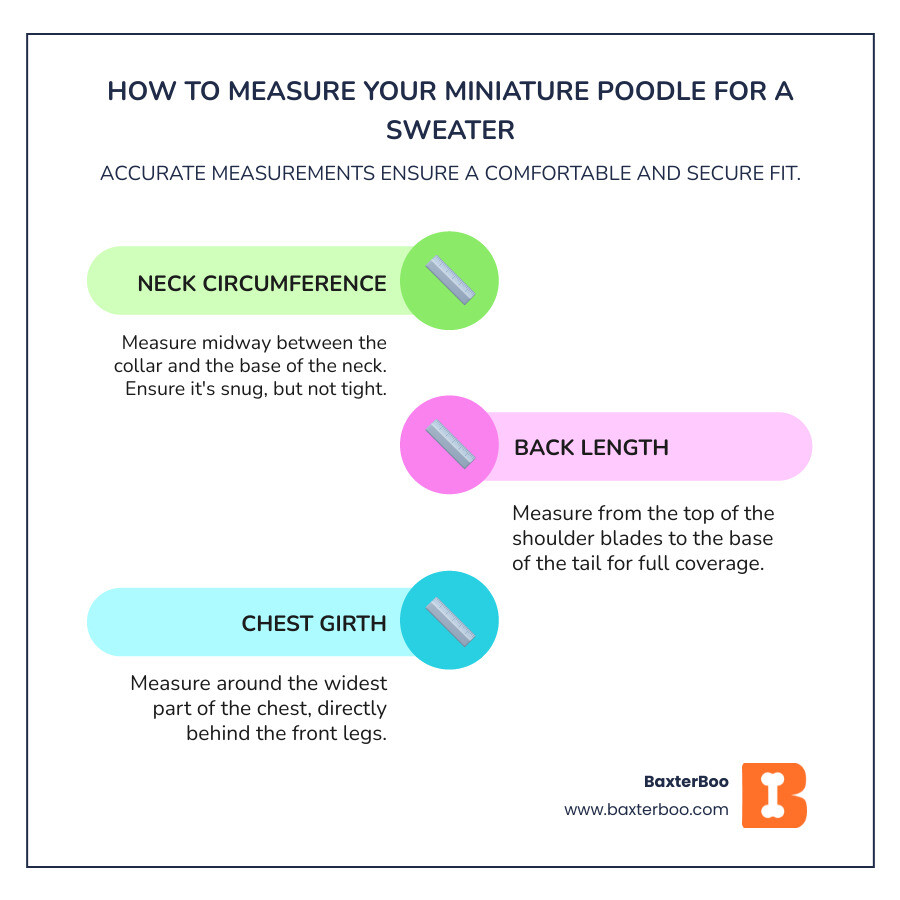 Infographic showing proper measurement points for a Miniature Poodle sweater including neck circumference measured midway between collar and base of neck, back length from shoulder blades to tail base, and chest girth around the widest part behind front legs, with recommended size ranges: XS (up to 11 lbs, 9-12 inch back, 13-17 inch girth), S (up to 15 lbs, 11-16 inch back, 14-18 inch girth), and M (up to 23 lbs, 15-18 inch back, 18-22 inch girth) - Miniature Poodle sweater infographic infographic-line-3-steps-colors