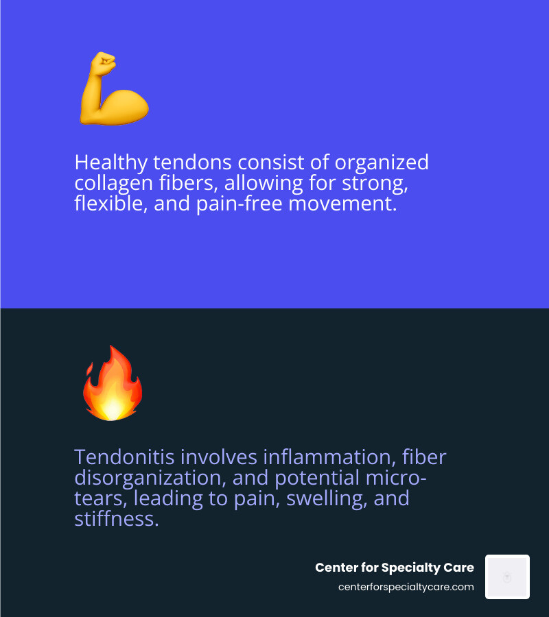 Infographic comparing a healthy tendon with organized collagen fibers versus a tendon affected by tendonitis showing inflammation, swelling, fiber disorganization, and potential micro-tears, with labels indicating pain points and reduced flexibility - foot tendonitis infographic 2_facts_emoji_blue Infographic comparing a healthy tendon with organized collagen fibers versus a tendon affected by tendonitis showing inflammation, swelling, fiber disorganization, and potential micro-tears, with labels indicating pain points and reduced flexibility - foot tendonitis infographic 2_facts_emoji_blue