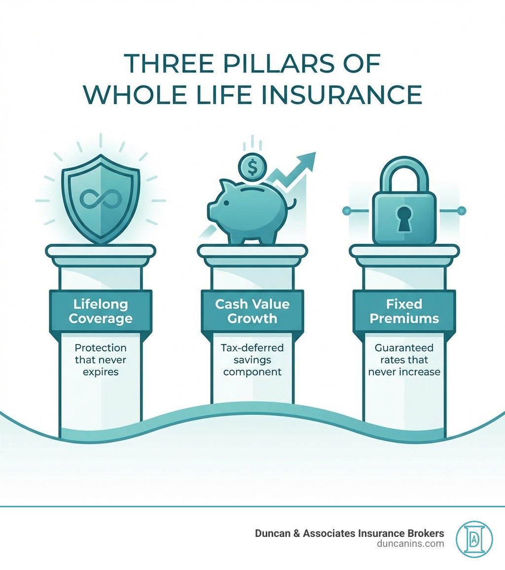infographic showing three pillars of whole life insurance: a shield labeled "Lifelong Coverage - Protection that never expires", a piggy bank labeled "Cash Value Growth - Tax-deferred savings component", and a lock labeled "Fixed Premiums - Guaranteed rates that never increase" - whole life insurance quotes infographic 