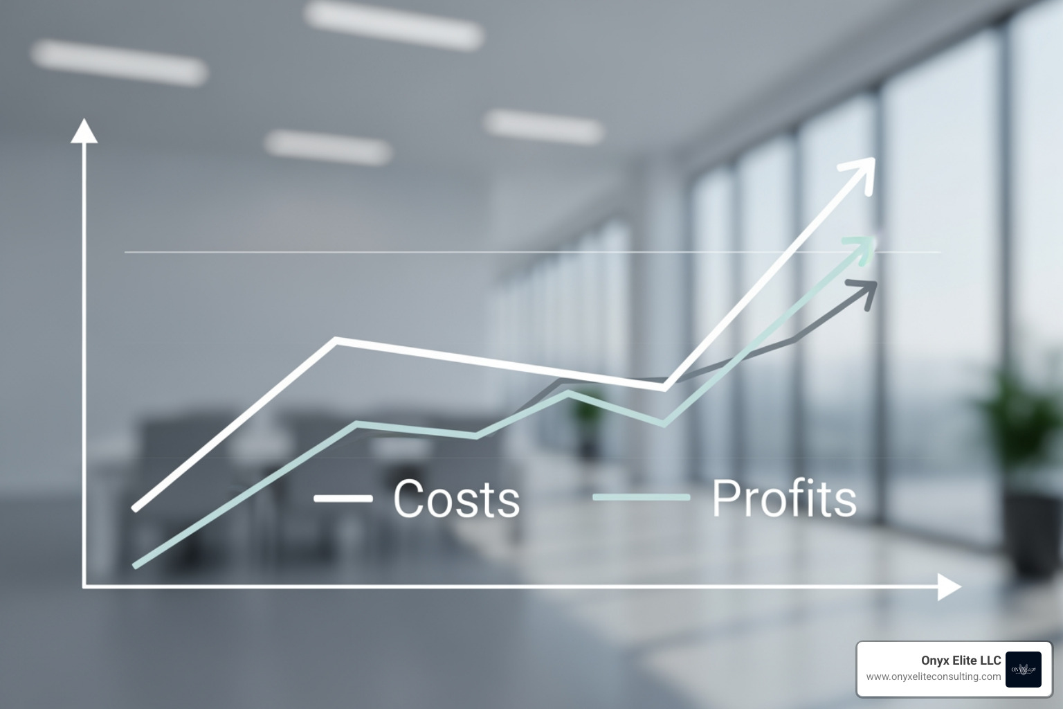 graph showing downward cost trend and upward profit trend - credit card processing consulting graph showing downward cost trend and upward profit trend - credit card processing consulting