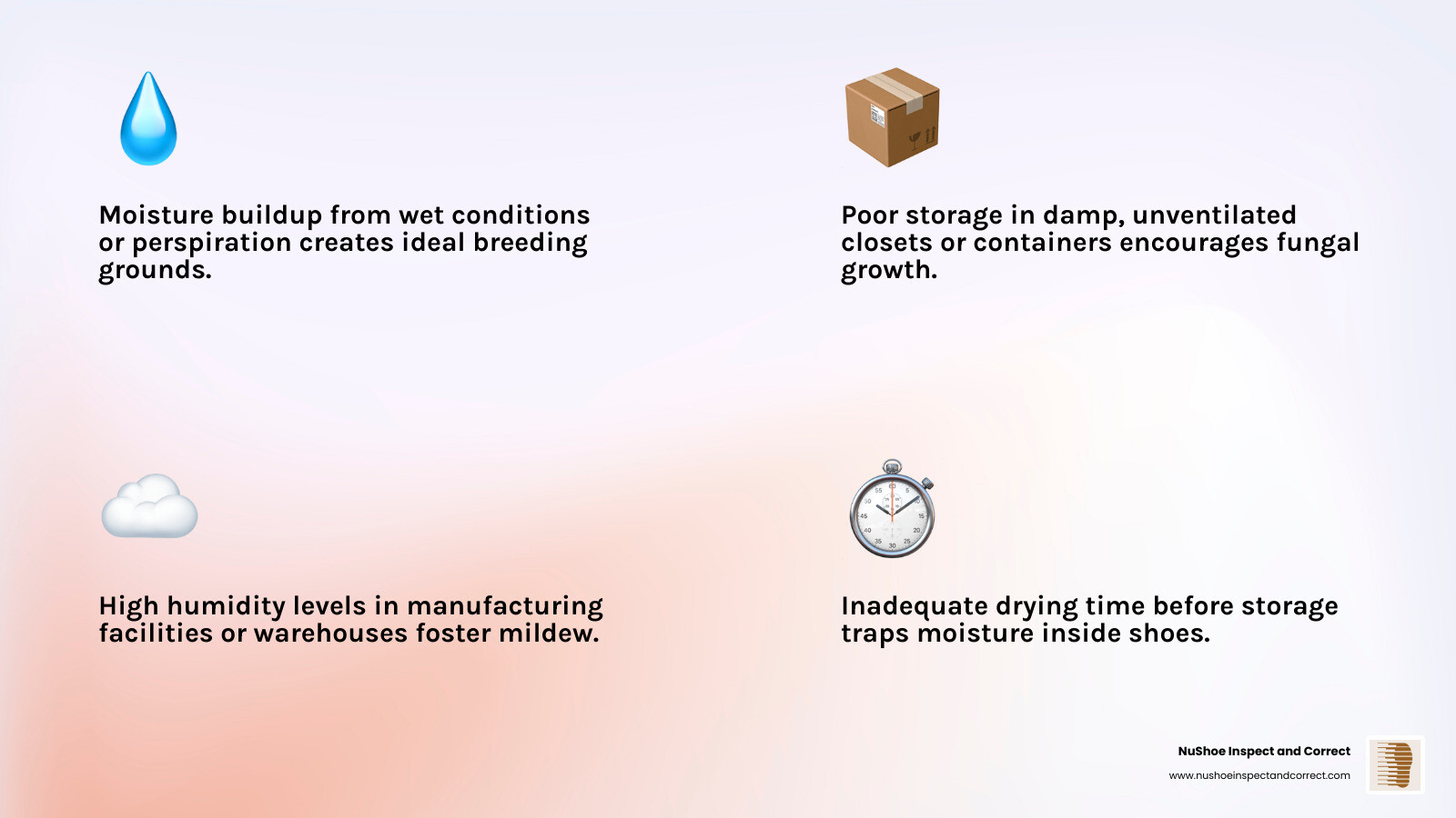 infographic showing causes of mildew on shoes including moisture buildup, poor ventilation, high humidity, and damp storage, plus visual signs like fuzzy white or green patches and musty odor - how to get mildew out of shoes infographic 4_facts_emoji_light-gradient infographic showing causes of mildew on shoes including moisture buildup, poor ventilation, high humidity, and damp storage, plus visual signs like fuzzy white or green patches and musty odor - how to get mildew out of shoes infographic 4_facts_emoji_light-gradient