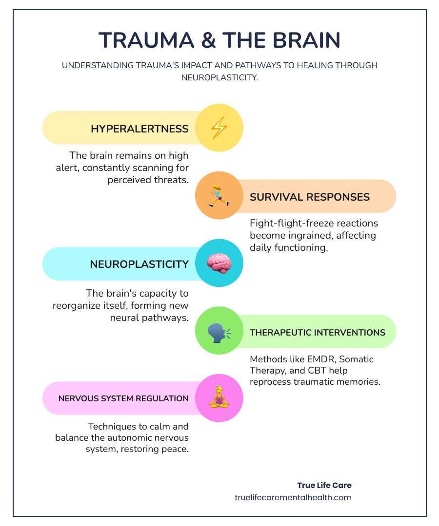 infographic showing trauma's impact on the brain including hyperalertness and fight-flight-freeze responses, alongside healing pathways through neuroplasticity, therapeutic interventions, and nervous system regulation - trauma recovery retreat infographic infographic-line-5-steps-colors