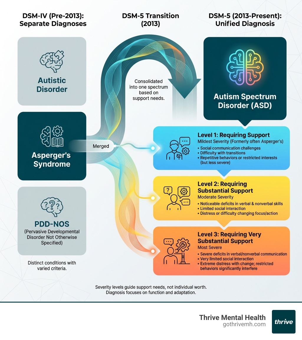 Infographic showing the transition from DSM-IV with separate Asperger's diagnosis to DSM-5 unified Autism Spectrum Disorder with three severity levels - asperger syndrome symptoms infographic 