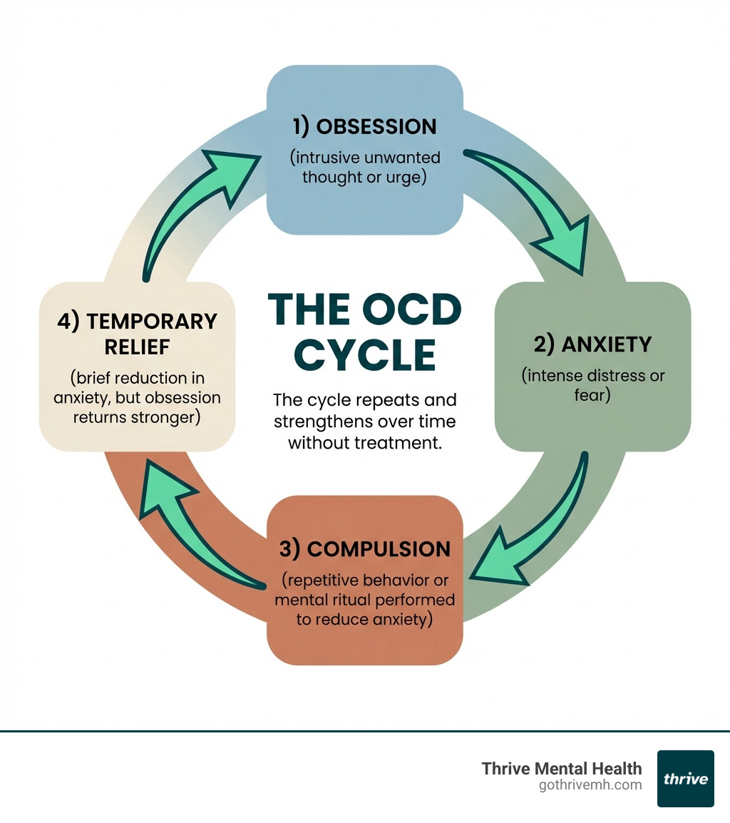 Infographic showing the OCD cycle: A circular diagram with four connected stages - 1) Obsession (intrusive unwanted thought or urge) leads to 2) Anxiety (intense distress or fear) leads to 3) Compulsion (repetitive behavior or mental ritual performed to reduce anxiety) leads to 4) Temporary Relief (brief reduction in anxiety, but obsession returns stronger). Arrows connect each stage in a continuous loop, with text noting "The cycle repeats and strengthens over time without treatment." Visual uses calming earth tones with clean, minimalist design. - obsessive compulsive therapist infographic 