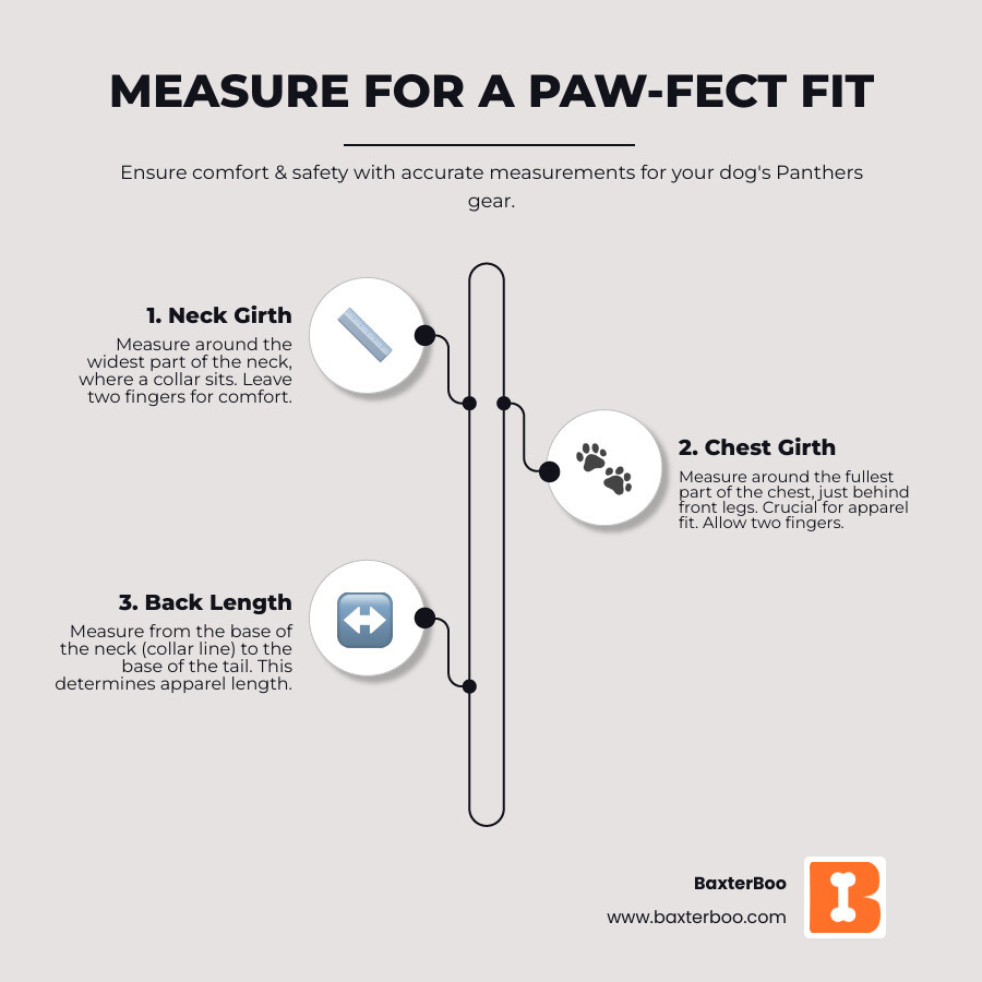 infographic explaining how to measure a dog's neck, chest, and length for apparel, showing diagrams for each measurement and tips for a comfortable fit - carolina panthers dog gear infographic infographic-line-3-steps-elegant_beige infographic explaining how to measure a dog's neck, chest, and length for apparel, showing diagrams for each measurement and tips for a comfortable fit - carolina panthers dog gear infographic infographic-line-3-steps-elegant_beige