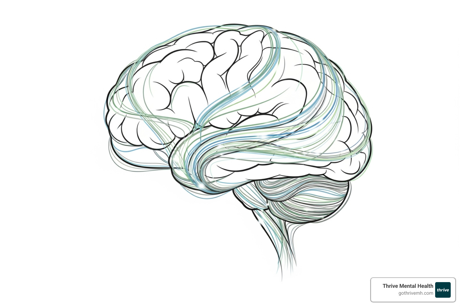 A brain with interconnected thoughts, feelings, and behaviors, symbolizing the complex interplay within the mind. - types of therapy