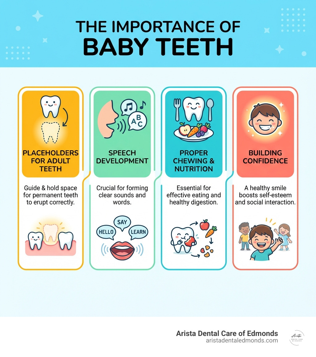 infographic showing the importance of baby teeth including placeholders for adult teeth, speech development, proper chewing, and building confidence - first dentist appointment baby infographic 