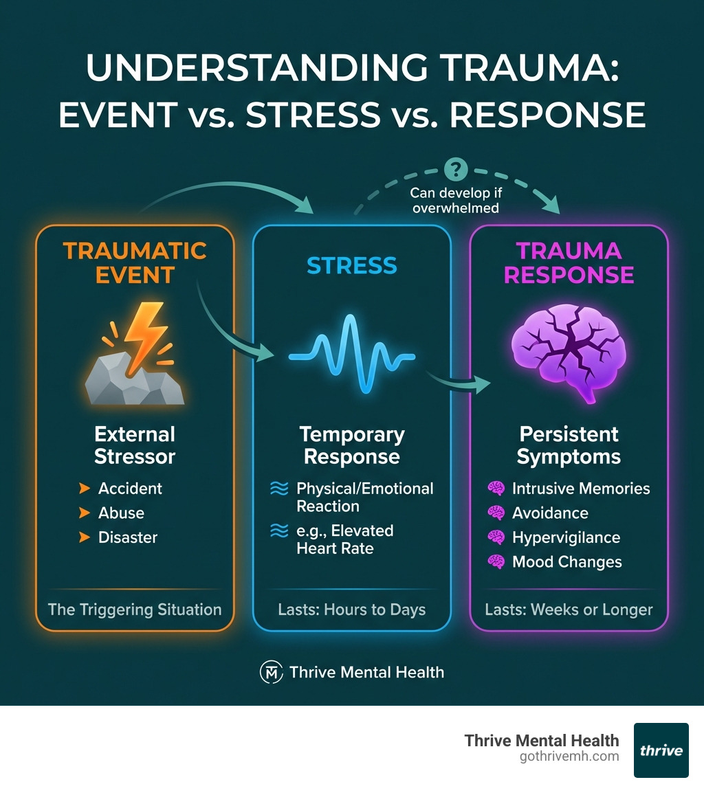 Infographic showing the difference between a traumatic event (external stressor like an accident, abuse, or disaster), stress (temporary physical and emotional response), and a trauma response (persistent symptoms including intrusive memories, avoidance, hypervigilance, and changes in mood lasting weeks or longer) - what is trauma infographic Infographic showing the difference between a traumatic event (external stressor like an accident, abuse, or disaster), stress (temporary physical and emotional response), and a trauma response (persistent symptoms including intrusive memories, avoidance, hypervigilance, and changes in mood lasting weeks or longer) - what is trauma infographic
