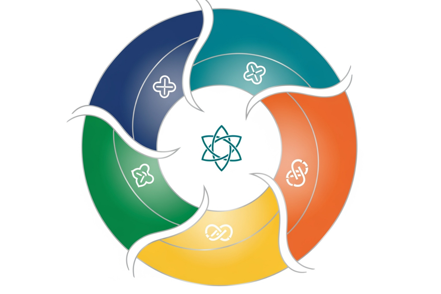 circular diagram illustrating the Five Pillars of the coaching framework -  pedro paulo executive coaching