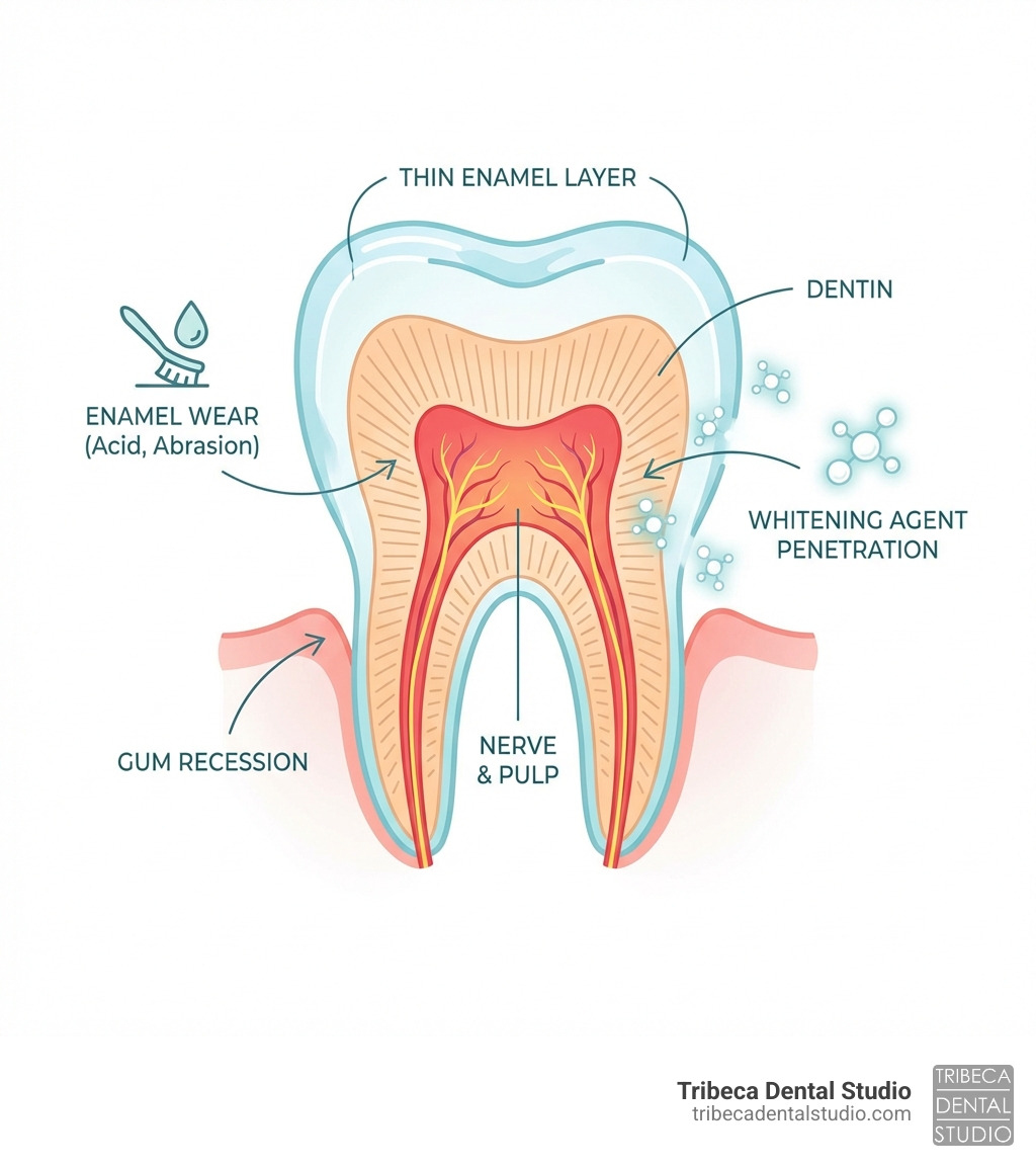 infographic showing tooth cross-section with thin enamel layer, exposed dentin tubules leading to nerve, and labels for causes of sensitivity including enamel wear, gum recession, and whitening agent penetration - best whitening for sensitive teeth infographic 