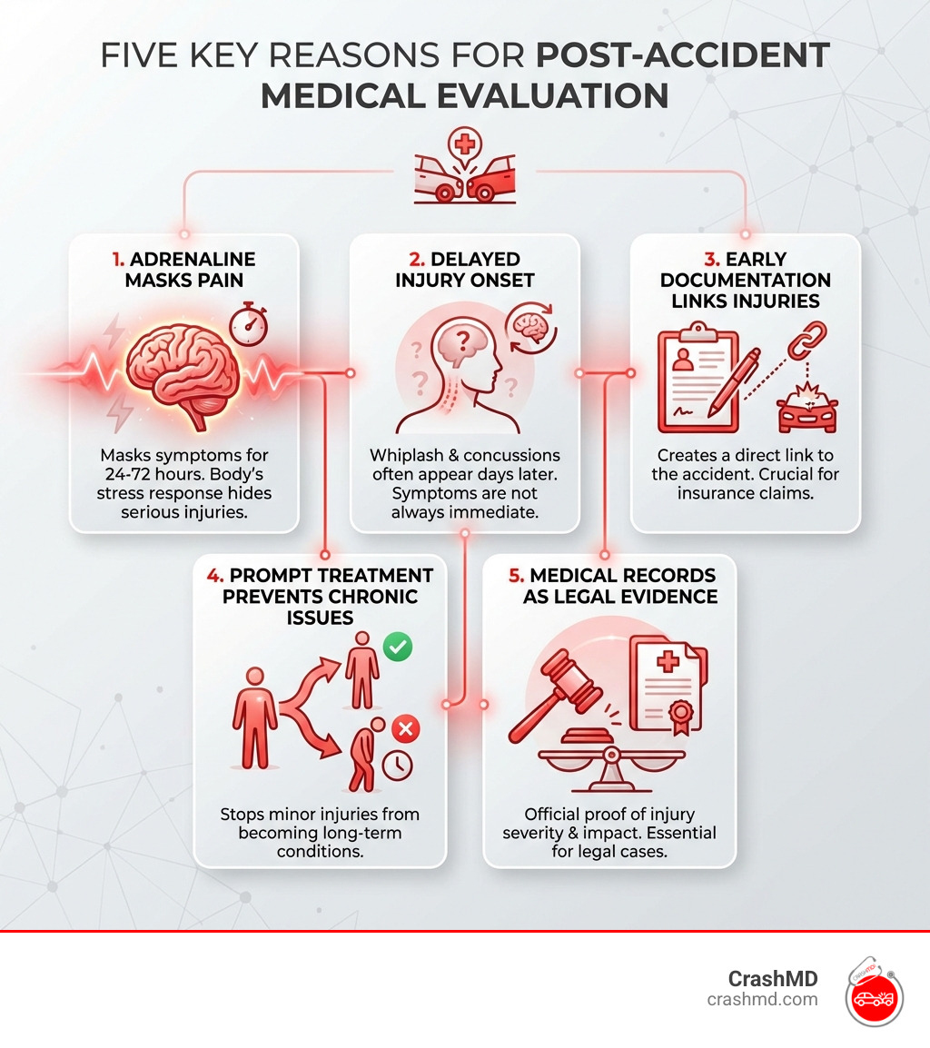 Infographic showing five key reasons for post-accident medical evaluation: 1. Adrenaline masks pain and injury symptoms for 24-72 hours, 2. Many injuries like whiplash and concussions have delayed onset, 3. Early documentation links injuries directly to the accident for insurance claims, 4. Prompt treatment prevents minor injuries from becoming chronic conditions, 5. Medical records serve as legal evidence of injury severity and impact - car accident medical evaluation infographic Infographic showing five key reasons for post-accident medical evaluation: 1. Adrenaline masks pain and injury symptoms for 24-72 hours, 2. Many injuries like whiplash and concussions have delayed onset, 3. Early documentation links injuries directly to the accident for insurance claims, 4. Prompt treatment prevents minor injuries from becoming chronic conditions, 5. Medical records serve as legal evidence of injury severity and impact - car accident medical evaluation infographic