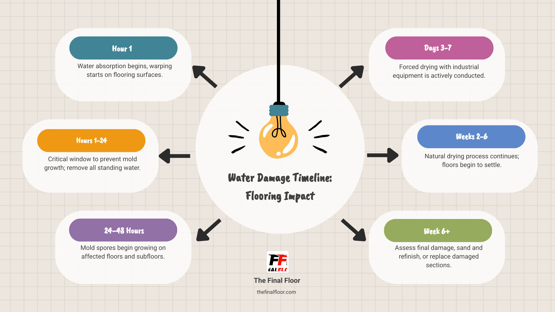 Infographic showing water damage timeline: Hour 1 - water absorption begins, warping starts; Hours 1-24 - critical window to prevent mold, remove standing water; 24-48 hours - mold spores begin growing; Days 3-7 - forced drying with industrial equipment; Weeks 2-6 - natural drying continues, floors settle; Week 6+ - assess final damage, sand and refinish or replace - water damage repair flooring infographic brainstorm-6-items