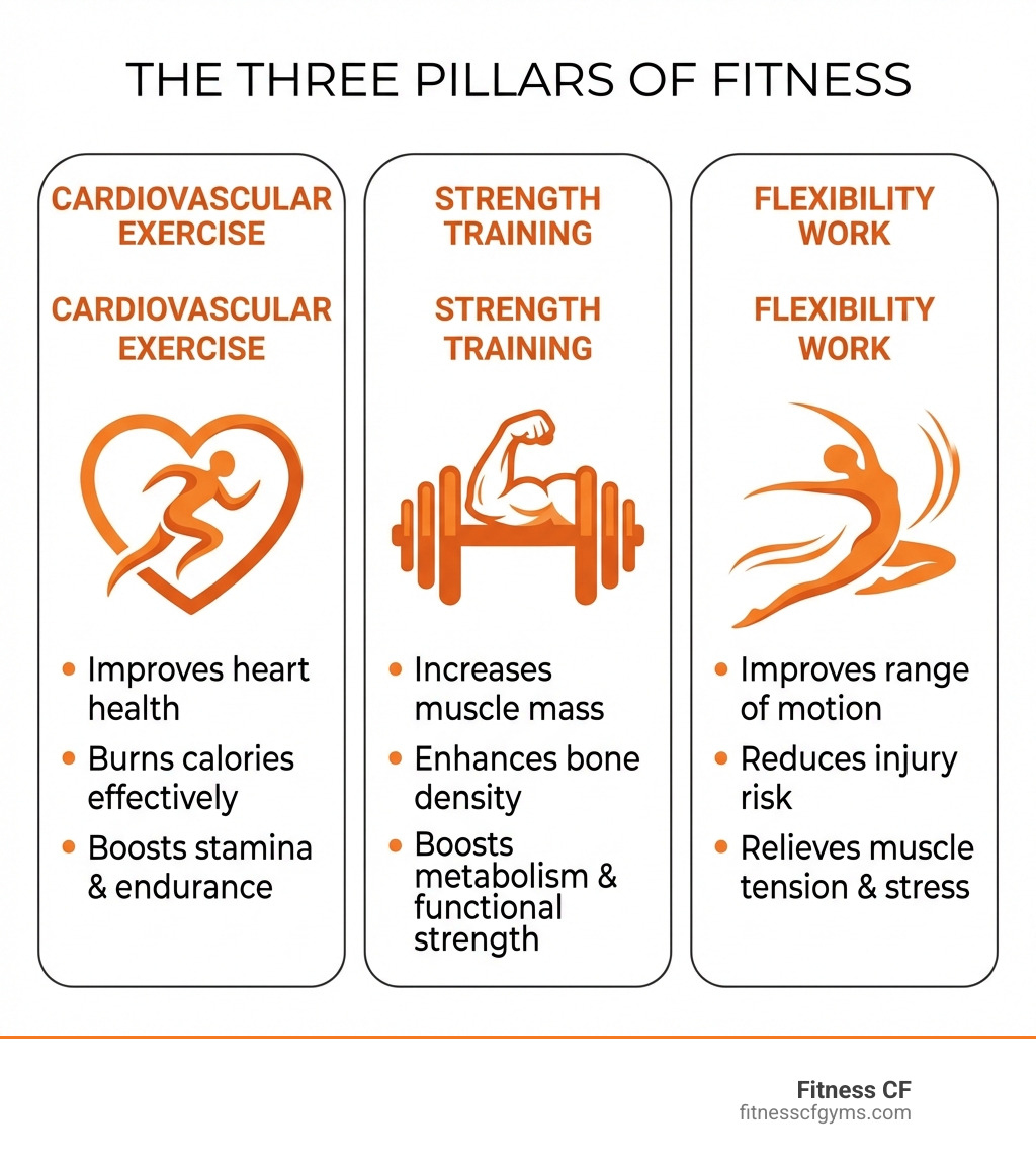 infographic showing the three pillars of fitness: cardiovascular exercise (heart icon with running figure), strength training (dumbbell icon with muscle illustration), and flexibility work (stretching figure), with brief benefits listed under each pillar - gym at cc infographic 