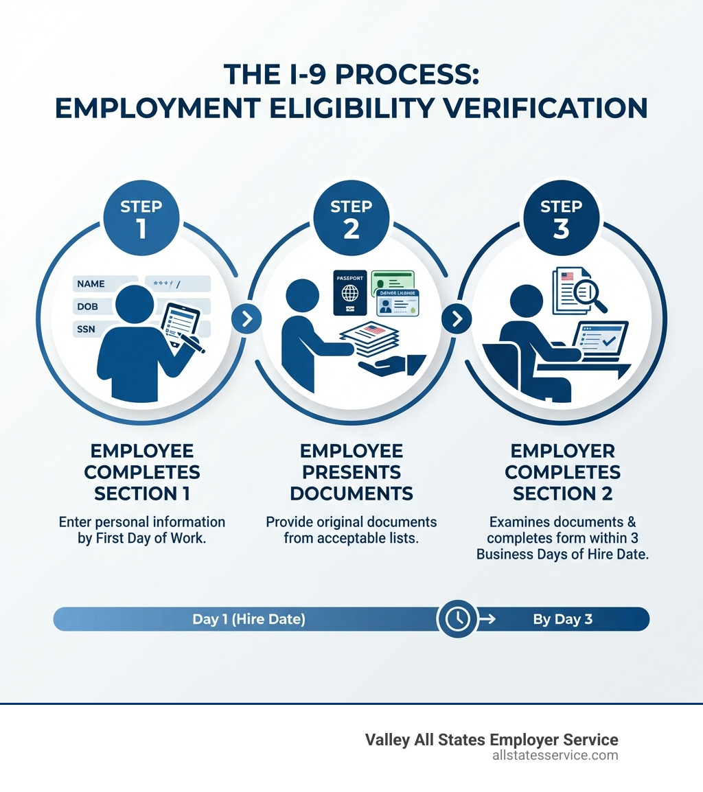 Infographic showing the I-9 process: Step 1 shows employee completing Section 1 with personal information by first day of work, Step 2 shows employee presenting original documents from acceptable lists, Step 3 shows employer examining documents and completing Section 2 within 3 business days of hire date - why do i need to fill out an i9 form infographic 