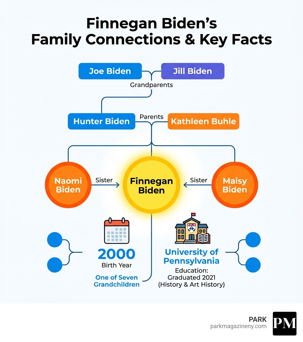 infographic showing the Biden family tree with Finnegan Biden's position as one of seven grandchildren, including her parents Hunter Biden and Kathleen Buhle, siblings Naomi and Maisy Biden, and grandparents Joe and Jill Biden, along with key facts about her education at University of Pennsylvania and birth year 2000 - finnegan biden infographic 