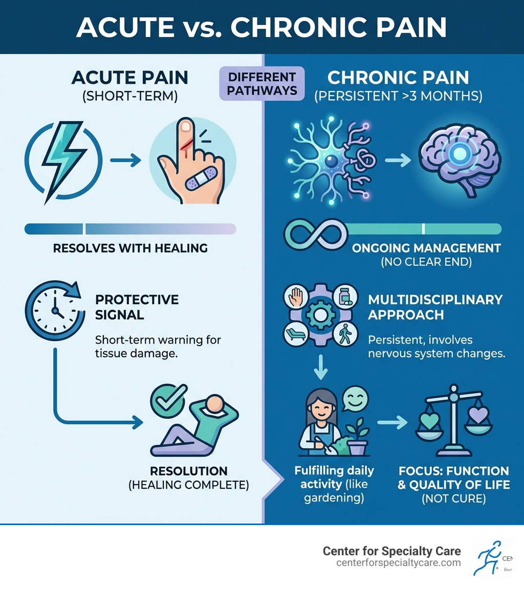 infographic showing the difference between acute pain (short-term, protective signal that resolves with healing) and chronic pain (persistent beyond 3 months, involves nervous system changes, requires ongoing management focused on function and quality of life rather than cure) - chronic pain management infographic 