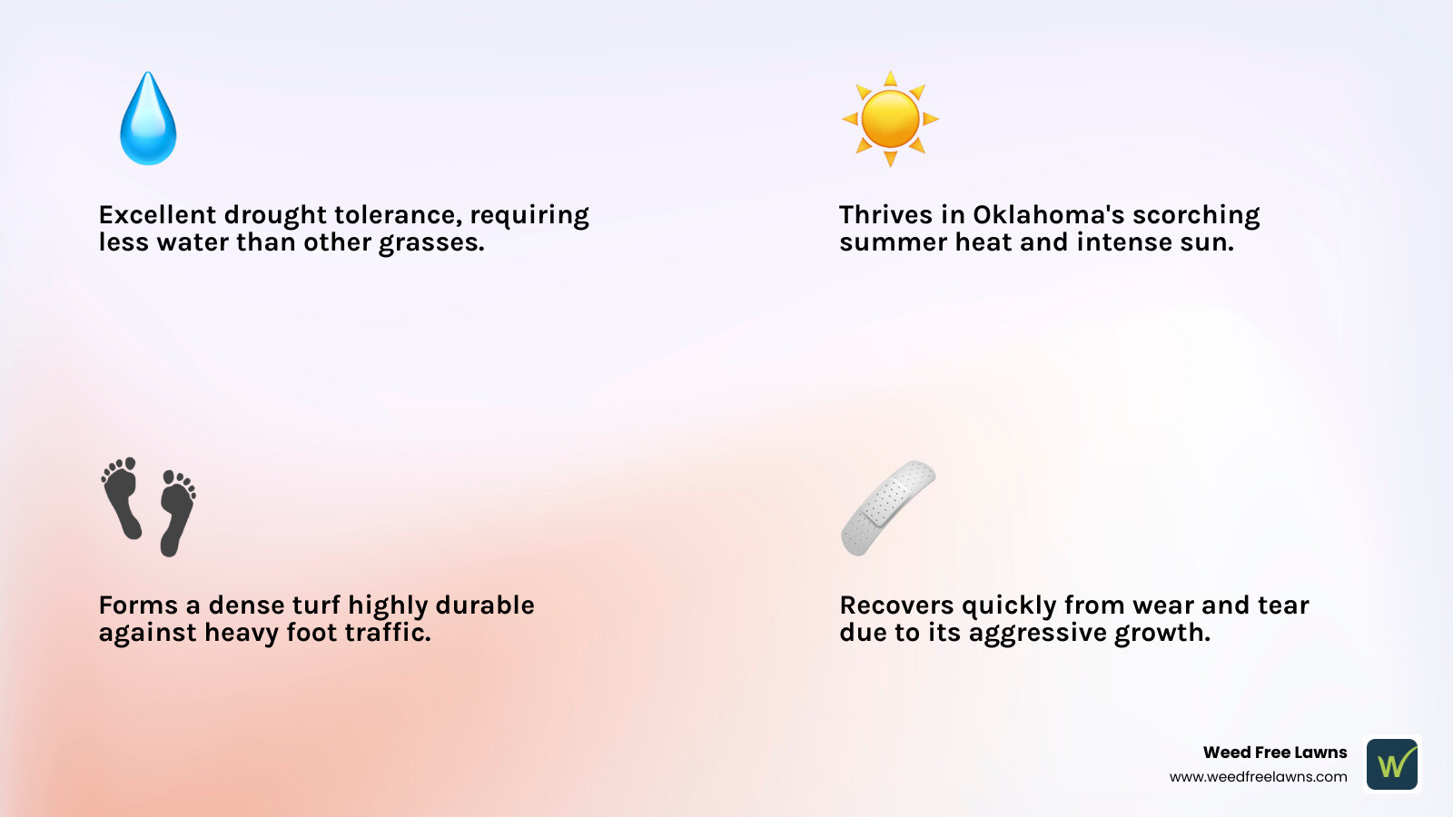 infographic showing bermudagrass benefits for Oklahoma lawns including drought tolerance with deep root system illustration, heat resistance shown with sun icon and temperature gauge, traffic durability with foot traffic patterns, and fast recovery timeline from damage - best bermuda grass seed for oklahoma infographic 4_facts_emoji_light-gradient