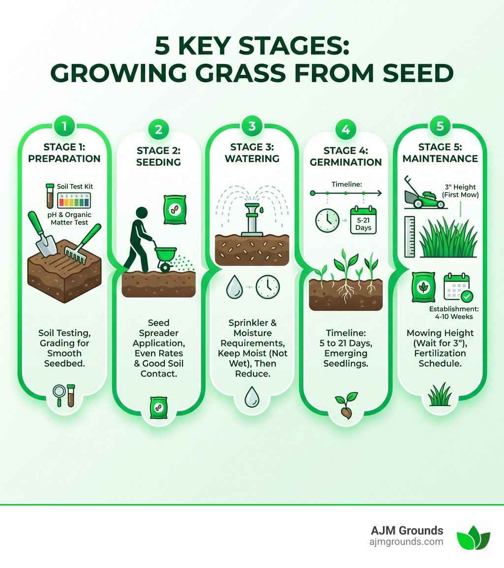infographic showing the 5 key stages of growing grass from seed: Stage 1 Preparation showing soil testing and grading, Stage 2 Seeding showing seed spreader and application rates, Stage 3 Watering showing sprinkler and moisture requirements, Stage 4 Germination showing timeline of 5 to 21 days with emerging seedlings, and Stage 5 Maintenance showing mowing height and fertilization schedule - growing grass from seed infographic 