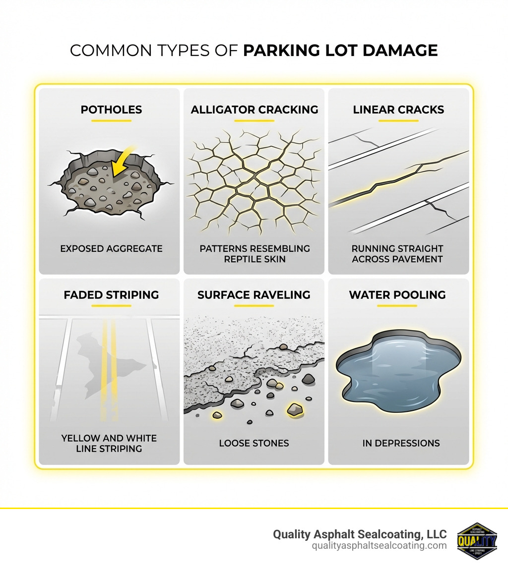 Infographic showing common types of parking lot damage including potholes with exposed aggregate, alligator cracking patterns resembling reptile skin, linear cracks running straight across pavement, faded yellow and white line striping, surface raveling with loose stones, and water pooling in depressions - parking lot repair services infographic Infographic showing common types of parking lot damage including potholes with exposed aggregate, alligator cracking patterns resembling reptile skin, linear cracks running straight across pavement, faded yellow and white line striping, surface raveling with loose stones, and water pooling in depressions - parking lot repair services infographic