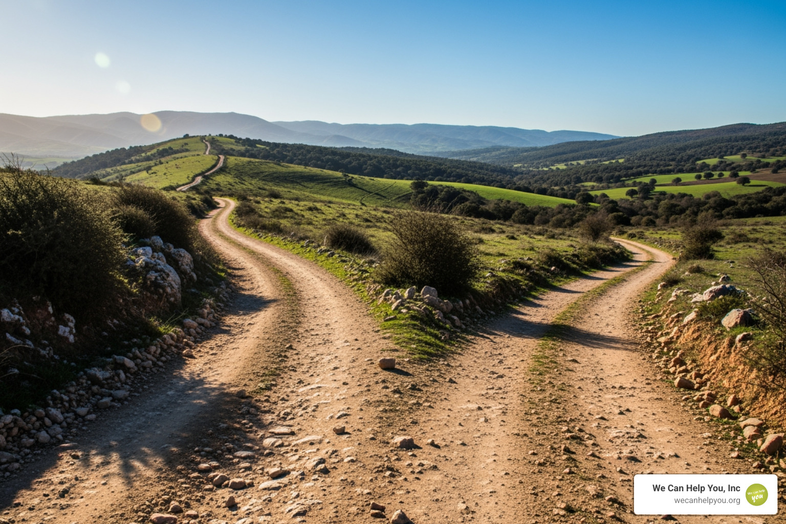fork in the road labeled "Original Medicare" and "Additional Coverage Options" - Medicare enrollment Illinois