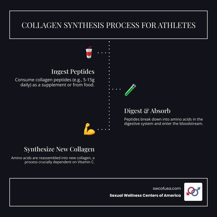 infographic showing collagen synthesis process from ingestion through digestive breakdown to amino acid absorption and vitamin C-dependent collagen formation in connective tissues - collagen peptides for athletes infographic infographic-line-3-steps-dark infographic showing collagen synthesis process from ingestion through digestive breakdown to amino acid absorption and vitamin C-dependent collagen formation in connective tissues - collagen peptides for athletes infographic infographic-line-3-steps-dark