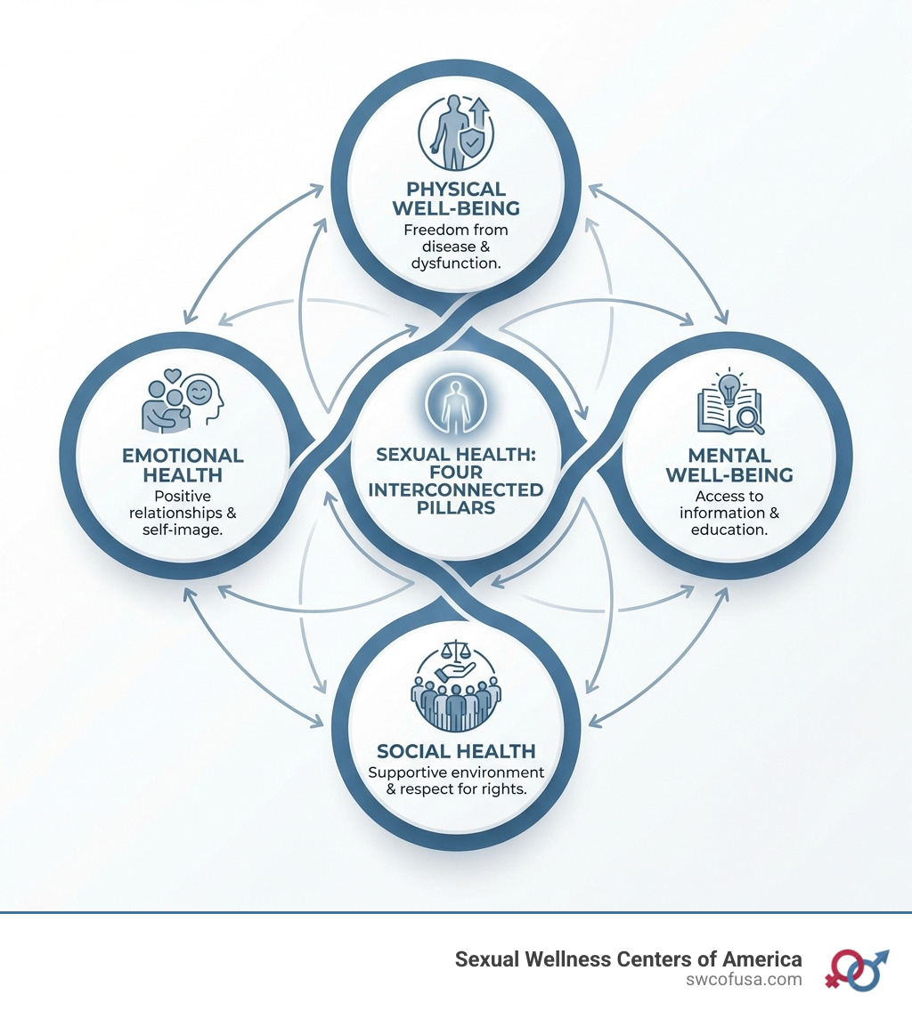 Infographic showing the four interconnected pillars of sexual health: Physical Well-being (freedom from disease and dysfunction), Emotional Health (positive relationships and self-image), Mental Well-being (access to information and education), and Social Health (supportive environment and respect for rights) - sexual health infographic Infographic showing the four interconnected pillars of sexual health: Physical Well-being (freedom from disease and dysfunction), Emotional Health (positive relationships and self-image), Mental Well-being (access to information and education), and Social Health (supportive environment and respect for rights) - sexual health infographic